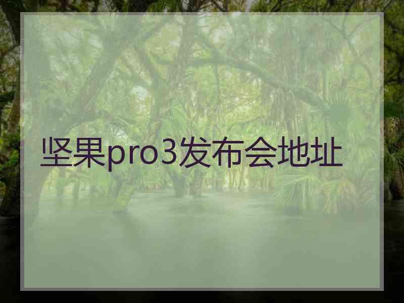 坚果pro3发布会地址