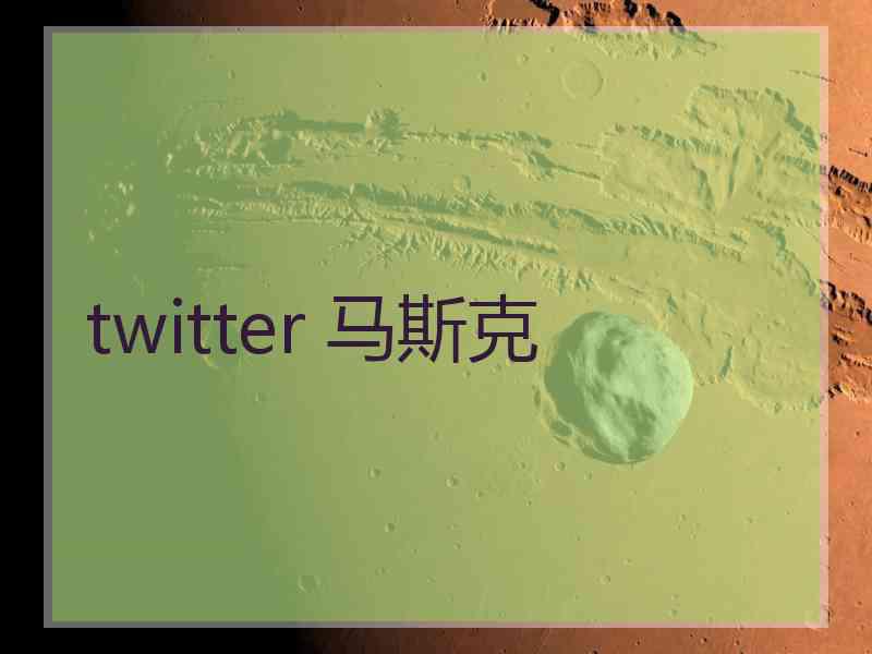 twitter 马斯克