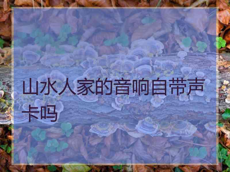 山水人家的音响自带声卡吗