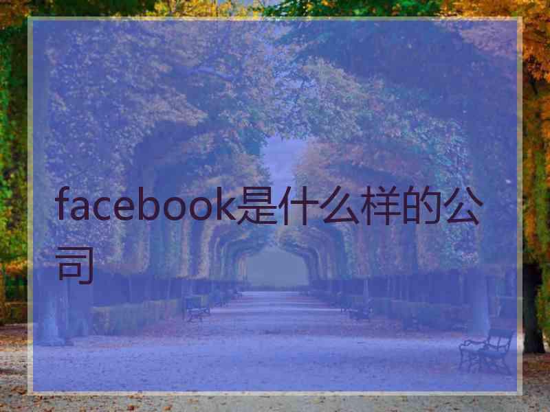 facebook是什么样的公司