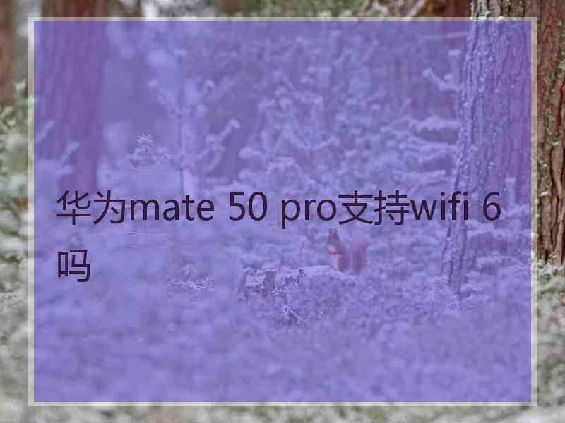 华为mate 50 pro支持wifi 6吗