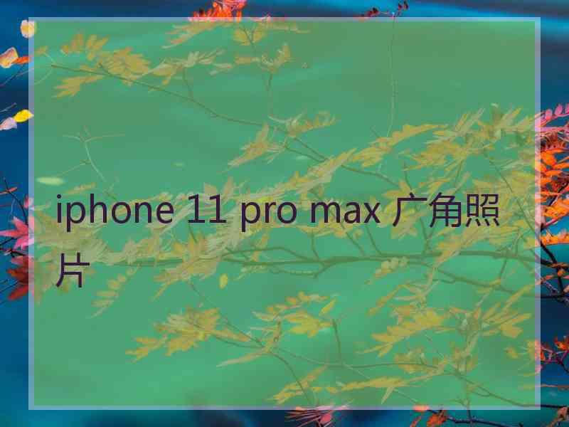 iphone 11 pro max 广角照片