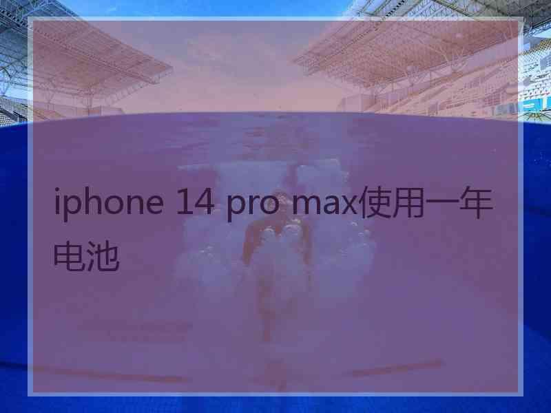 iphone 14 pro max使用一年电池