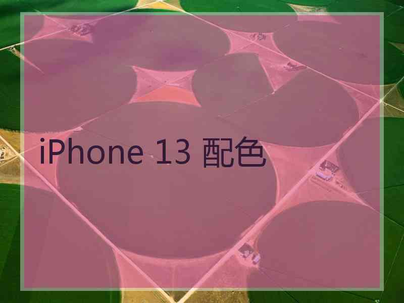 iPhone 13 配色