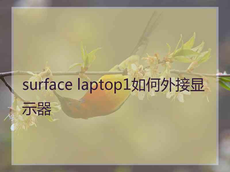 surface laptop1如何外接显示器