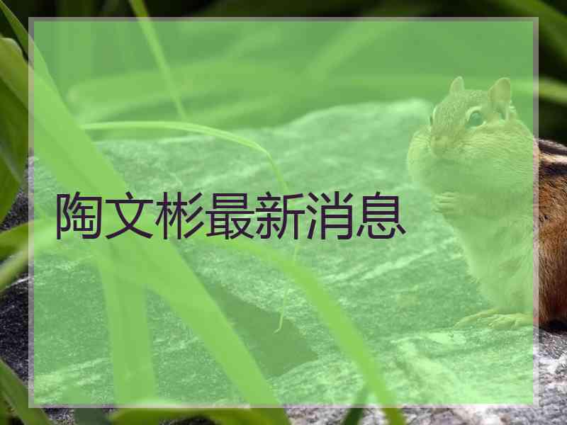 陶文彬最新消息