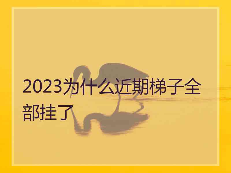 2023为什么近期梯子全部挂了