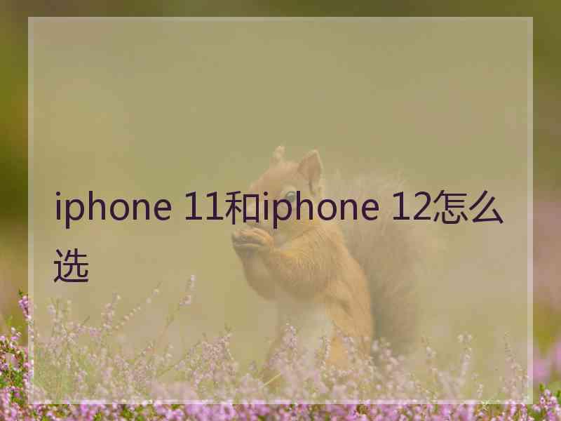 iphone 11和iphone 12怎么选