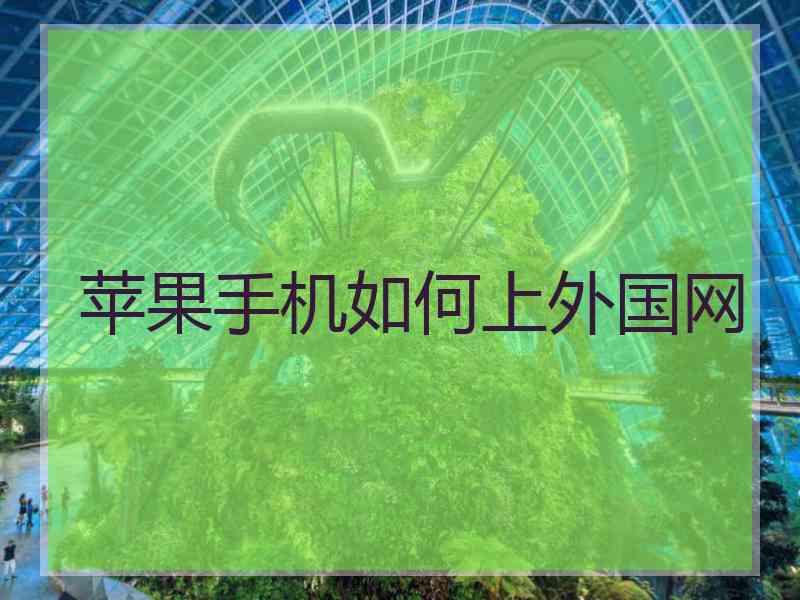 苹果手机如何上外国网