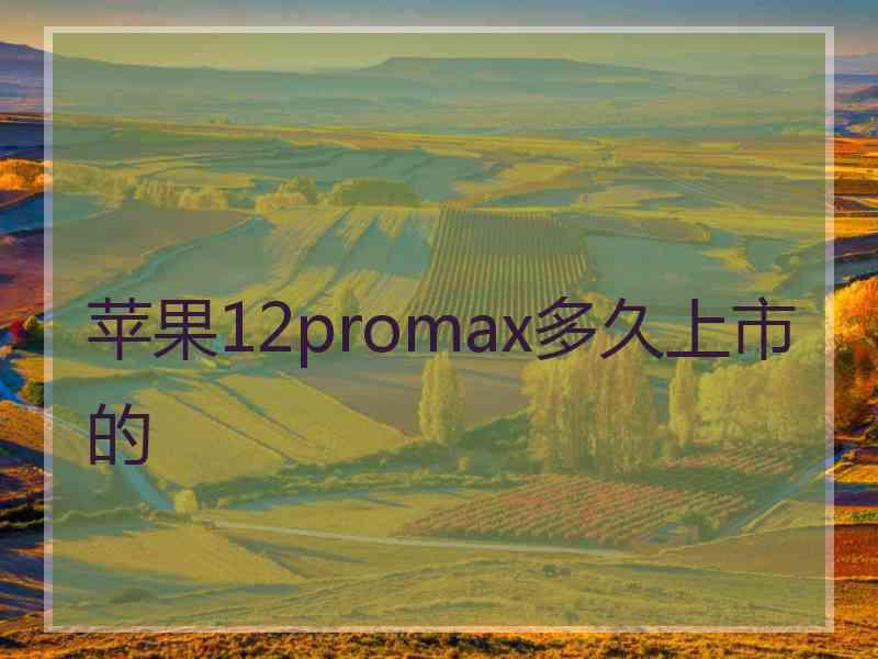 苹果12promax多久上市的