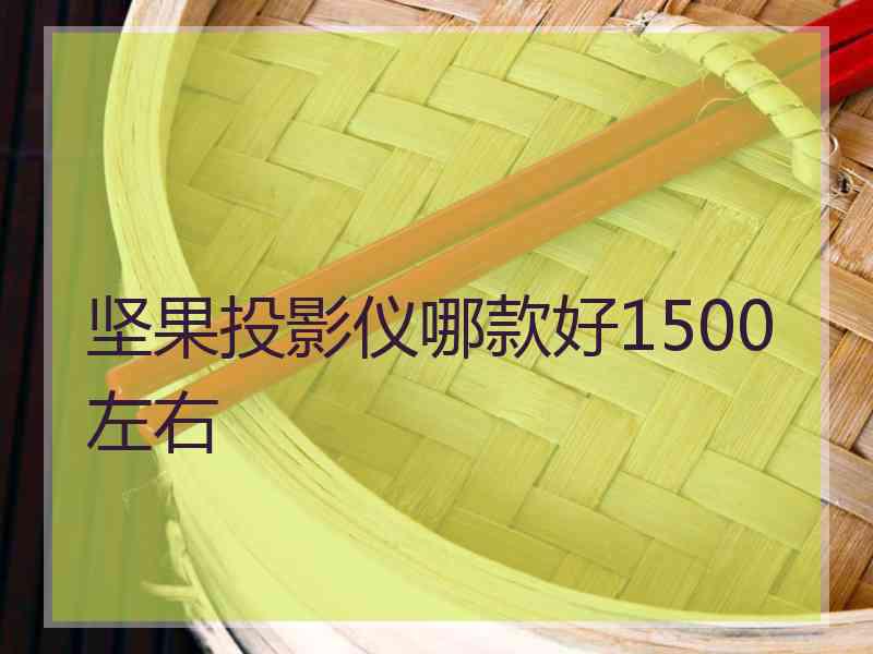 坚果投影仪哪款好1500左右