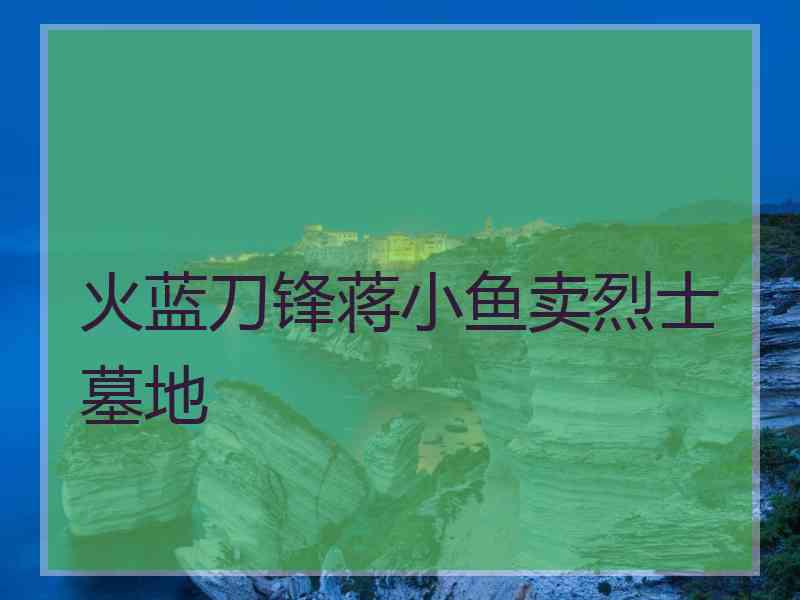 火蓝刀锋蒋小鱼卖烈士墓地