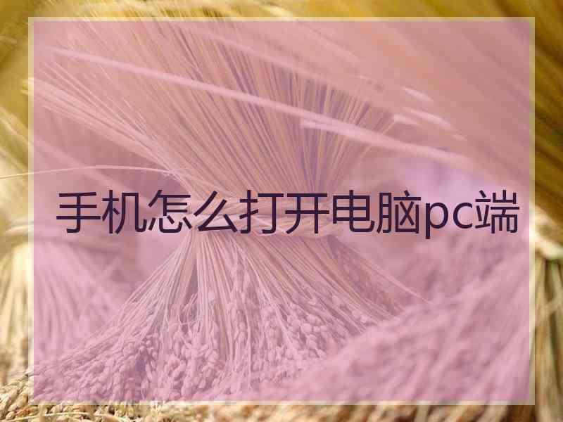 手机怎么打开电脑pc端