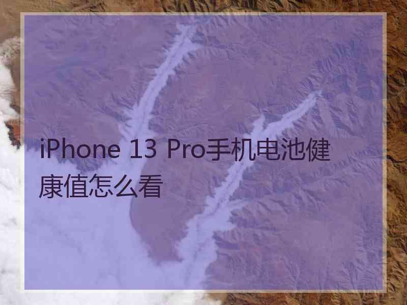 iPhone 13 Pro手机电池健康值怎么看