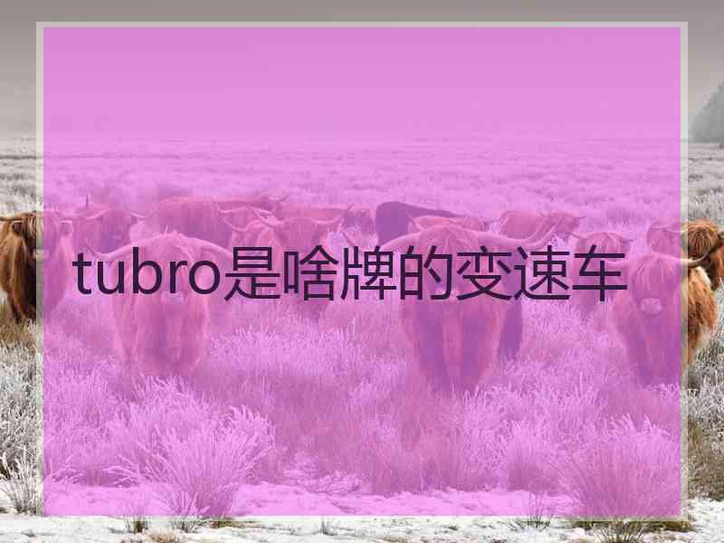 tubro是啥牌的变速车