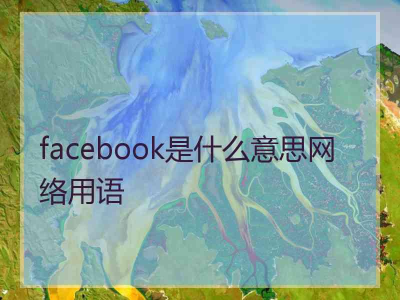 facebook是什么意思网络用语