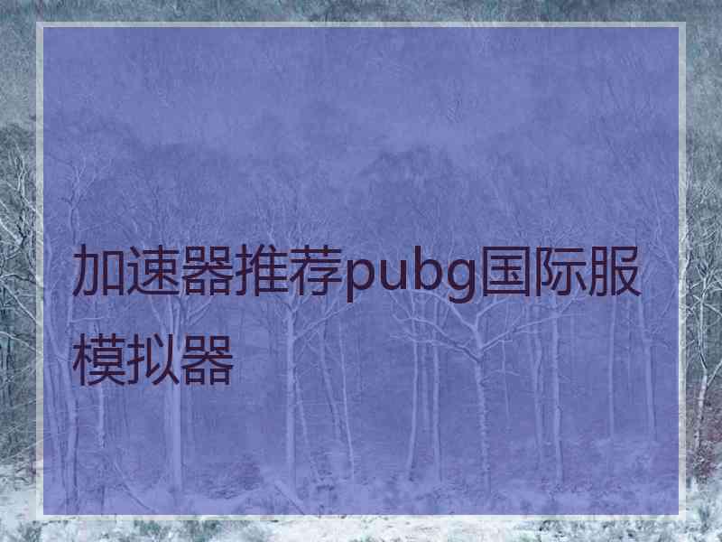 加速器推荐pubg国际服模拟器