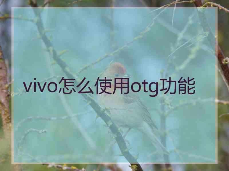 vivo怎么使用otg功能