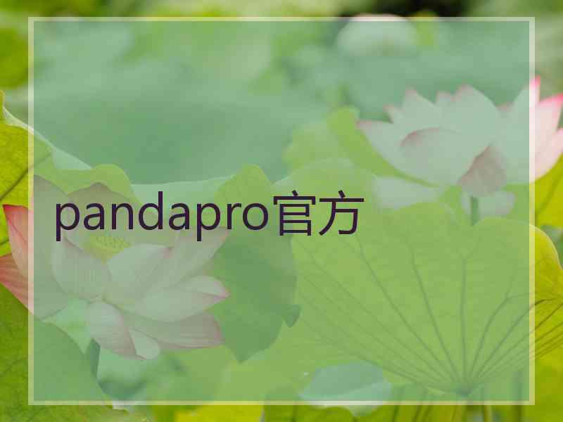 pandapro官方