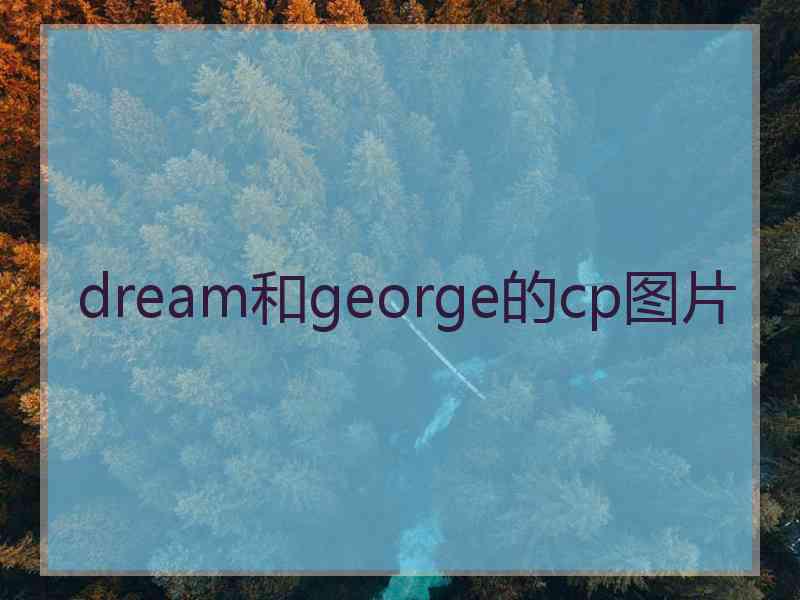 dream和george的cp图片