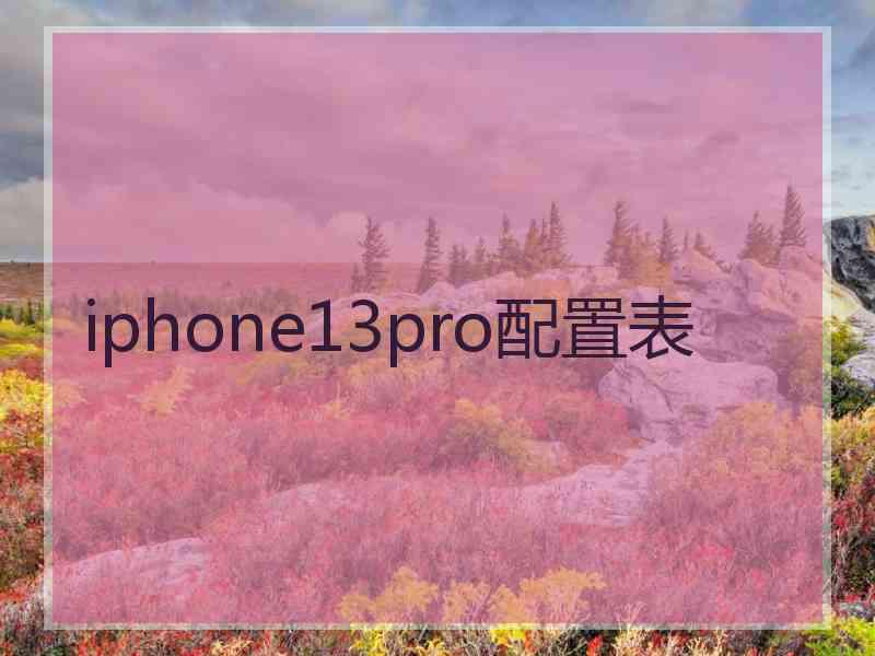 iphone13pro配置表