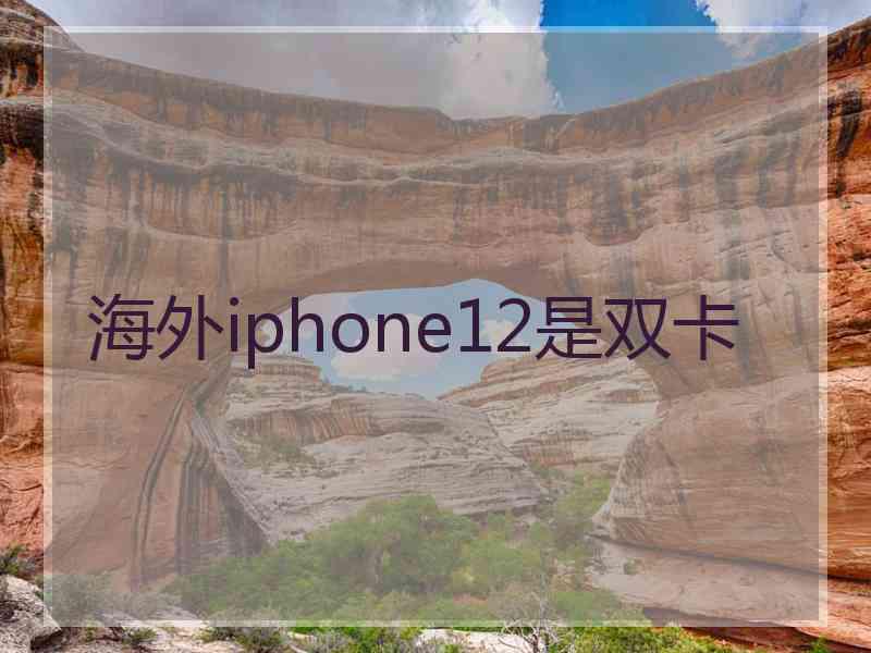 海外iphone12是双卡