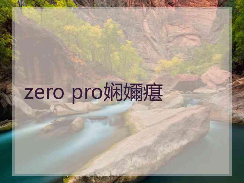 zero pro娴嬭瘎