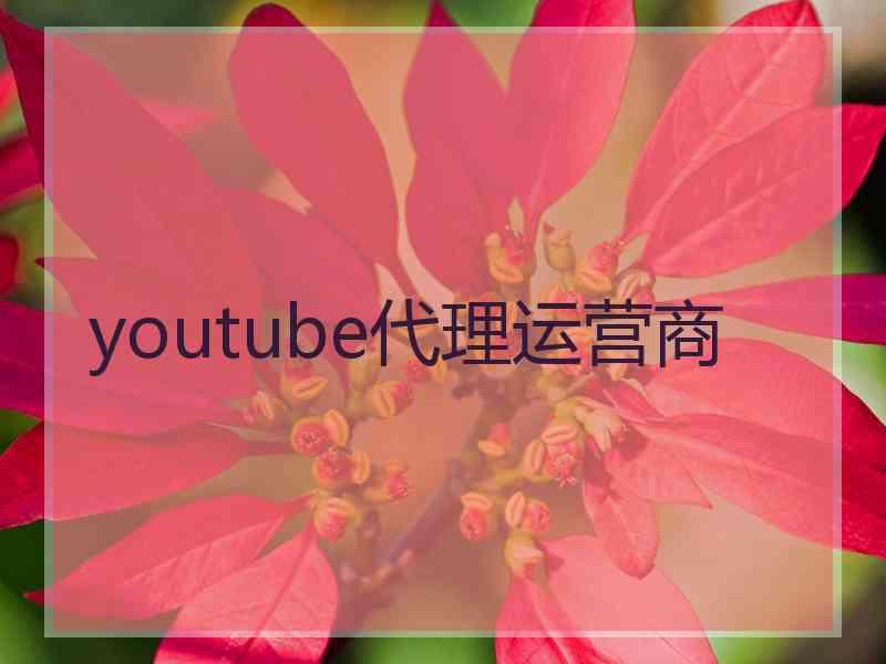 youtube代理运营商