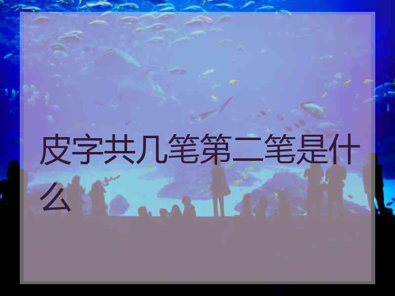 皮字共几笔第二笔是什么