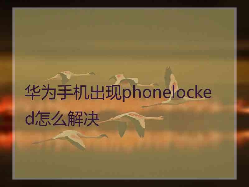 华为手机出现phonelocked怎么解决