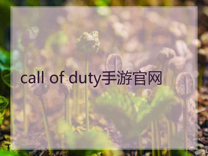 call of duty手游官网