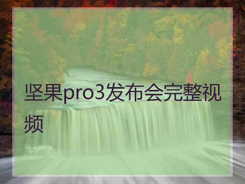 坚果pro3发布会完整视频