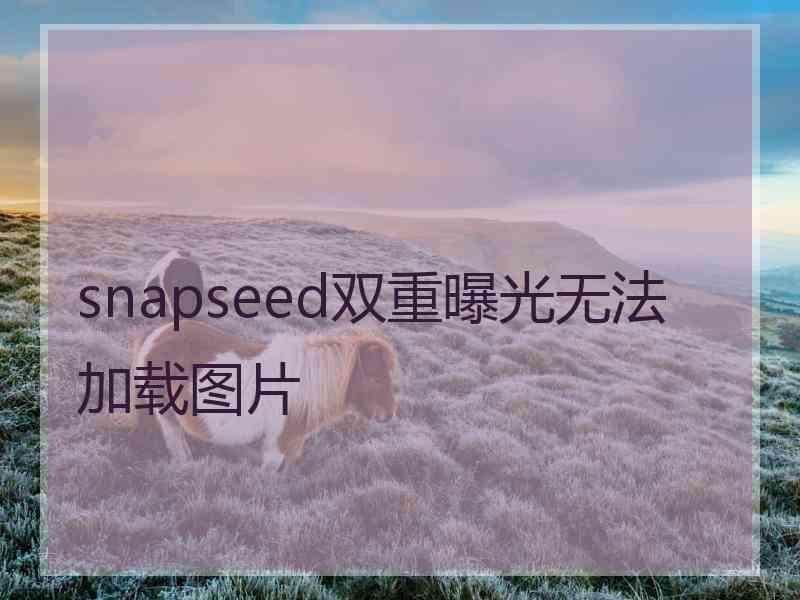 snapseed双重曝光无法加载图片