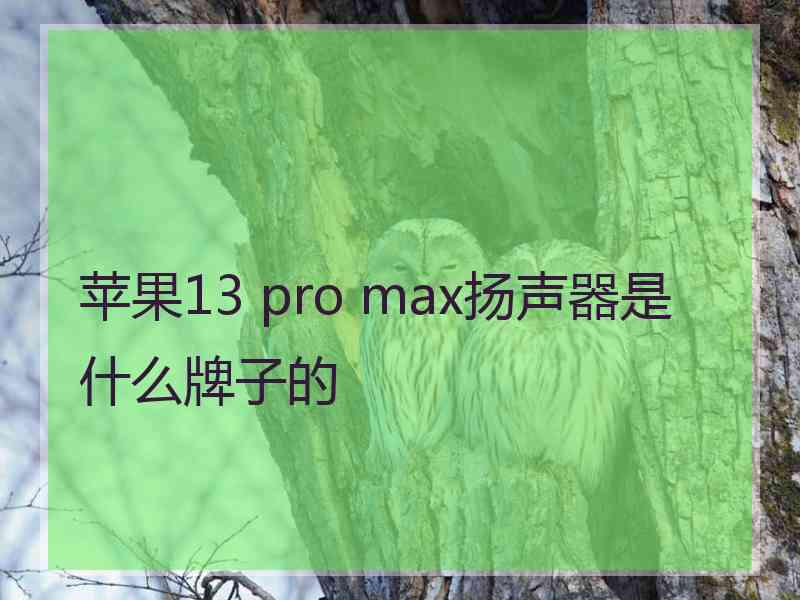 苹果13 pro max扬声器是什么牌子的