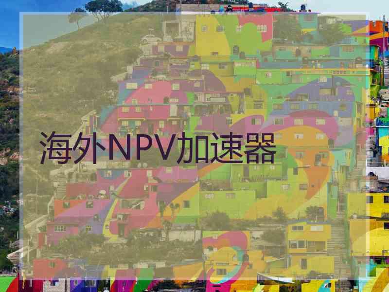 海外NPV加速器