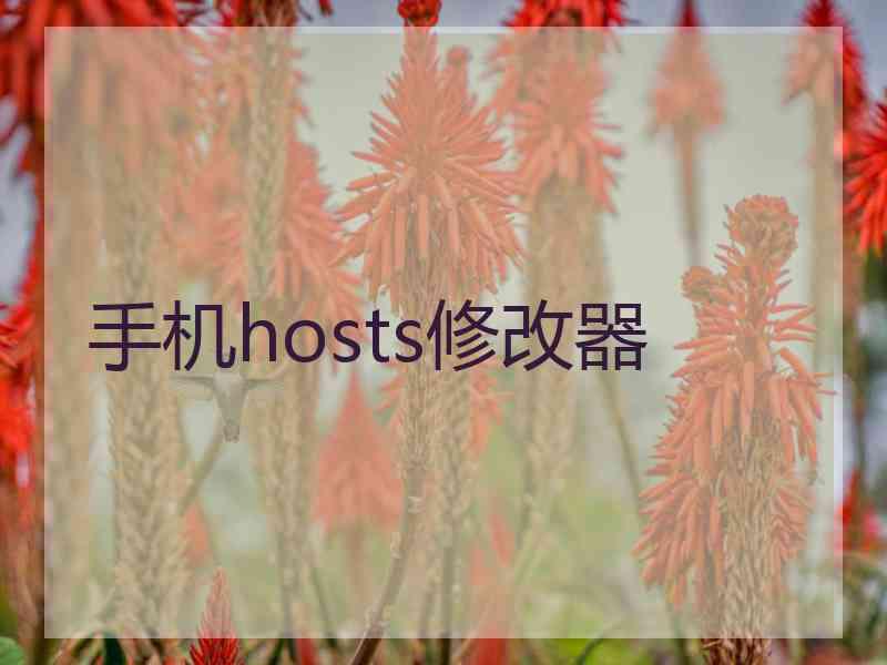 手机hosts修改器