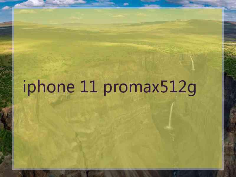 iphone 11 promax512g