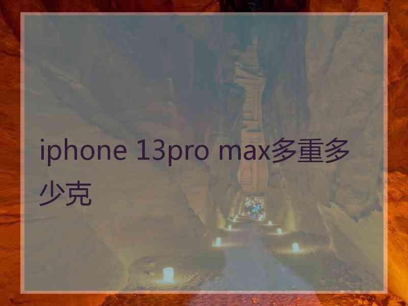 iphone 13pro max多重多少克