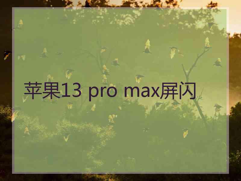 苹果13 pro max屏闪