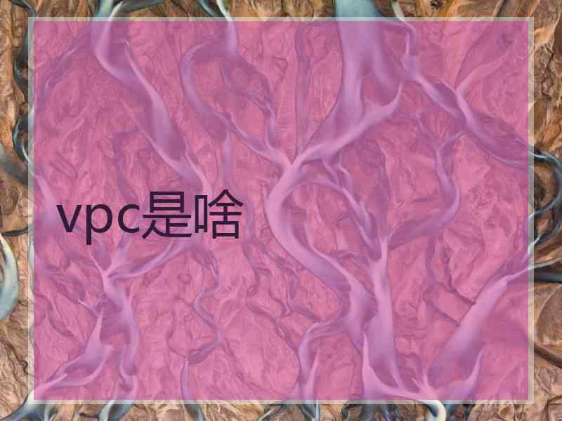 vpc是啥