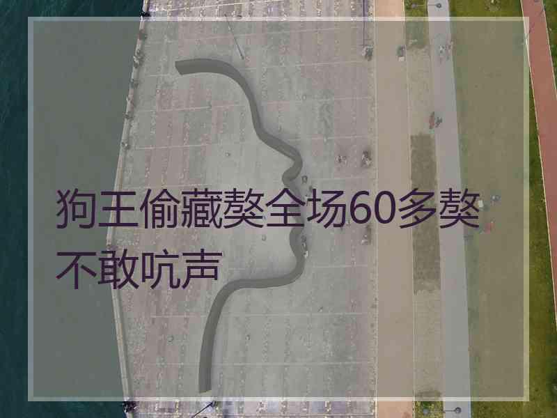 狗王偷藏獒全场60多獒不敢吭声