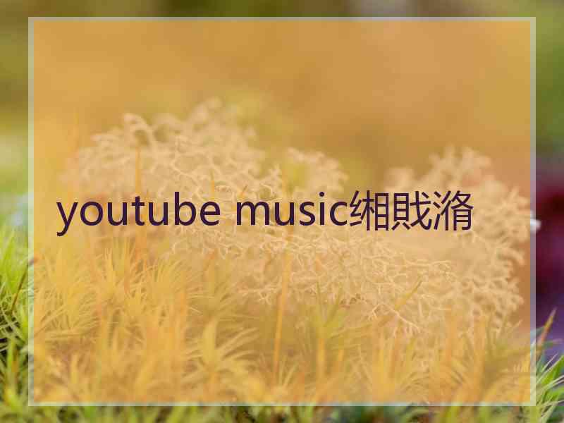 youtube music缃戝潃