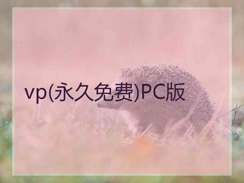 vp(永久免费)PC版