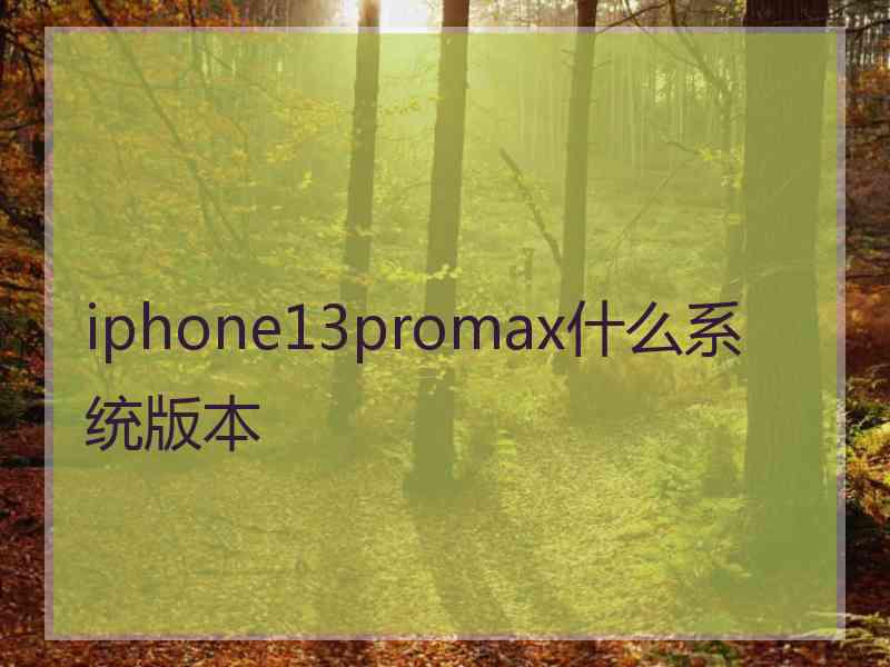 iphone13promax什么系统版本