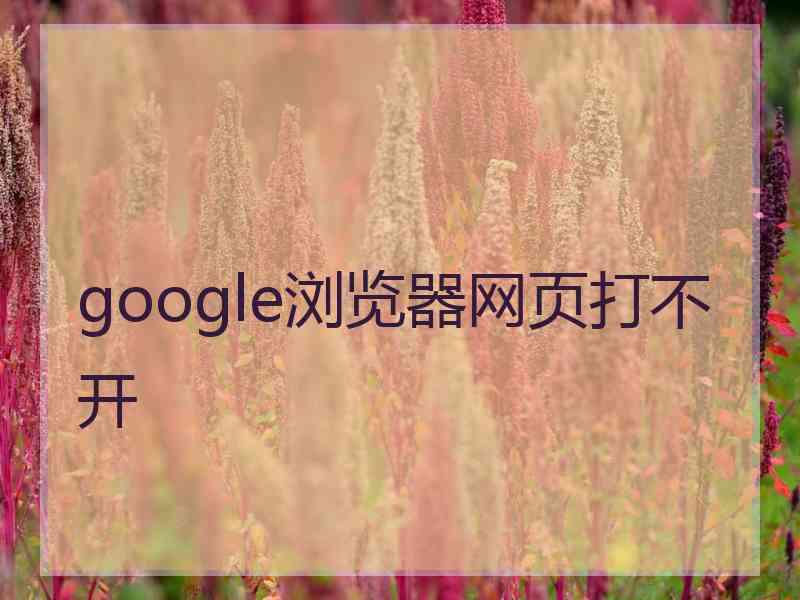 google浏览器网页打不开