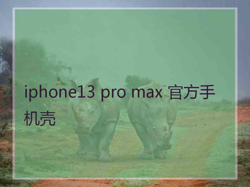 iphone13 pro max 官方手机壳