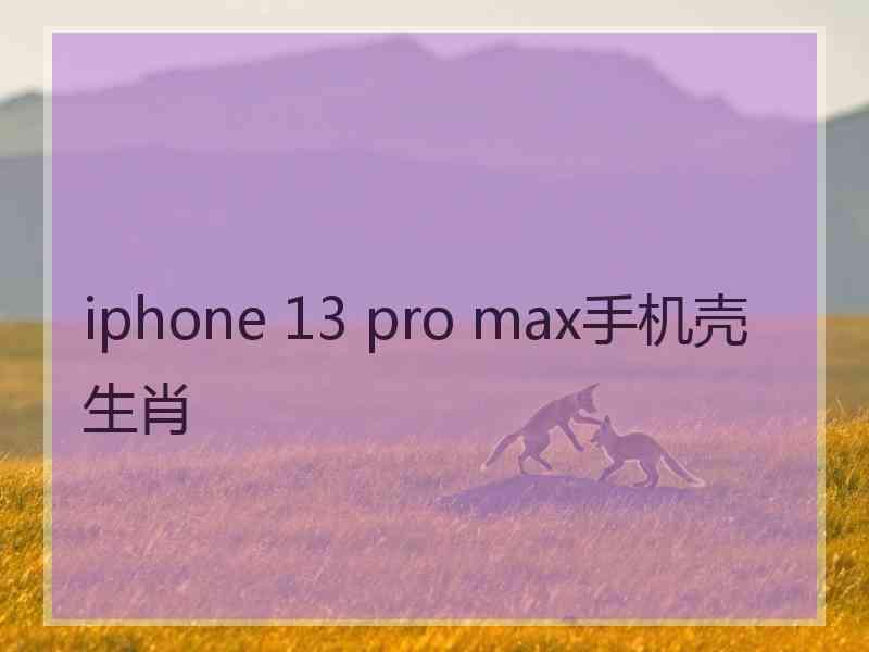 iphone 13 pro max手机壳生肖