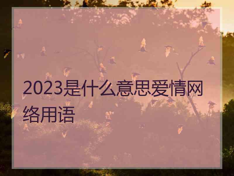 2023是什么意思爱情网络用语