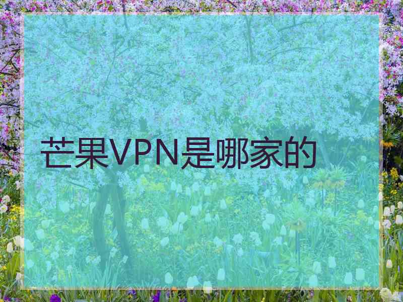 芒果VPN是哪家的