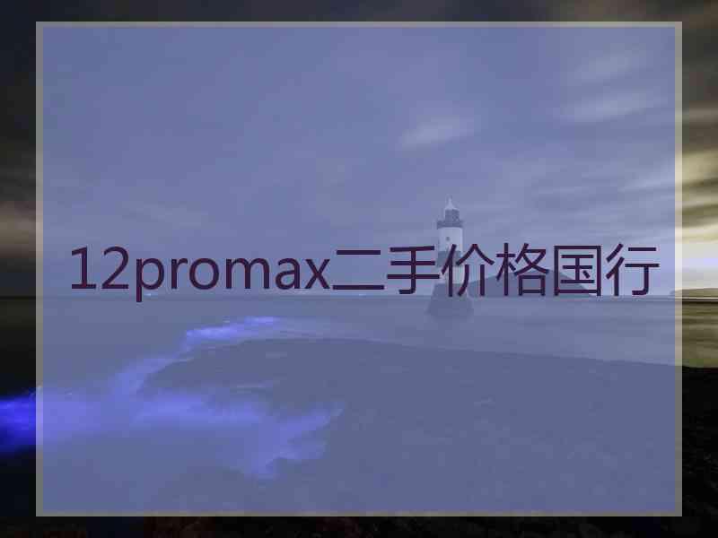 12promax二手价格国行